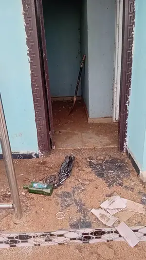 Professional Cleaning Services and Fumigation Services