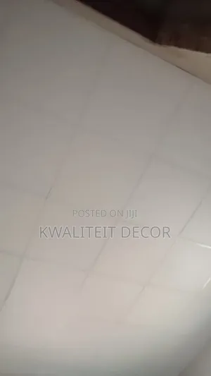 Professional Suspended Ceiling Expert