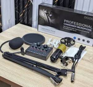 Professional Mic for All Purpose