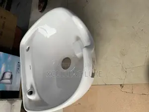 Saloon Hair Wash Basin