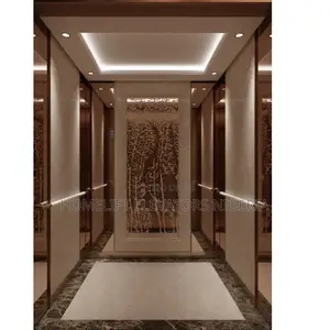 6-8 Person Luxury Passenger Elevator