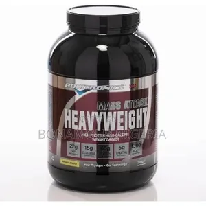 Boditronics Heavy Weight Gainer 2kg
