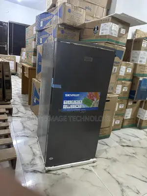 Voltage Stabilizer in Skyrun BCD-160hc 160l Refrigerator