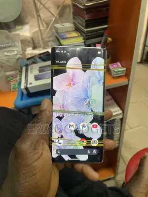 Google Pixel 6 Pro Screen With Fingerprint