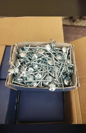 Roofing Nails in Carton