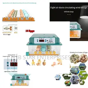 From Egg to Chick, Mastered: The Ultimate 16-Egg Incubator