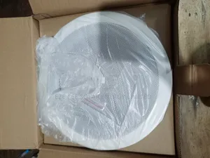 30watts Ceiling Speakers