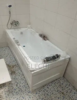 Excutive Panel Bathtub 170/75cm