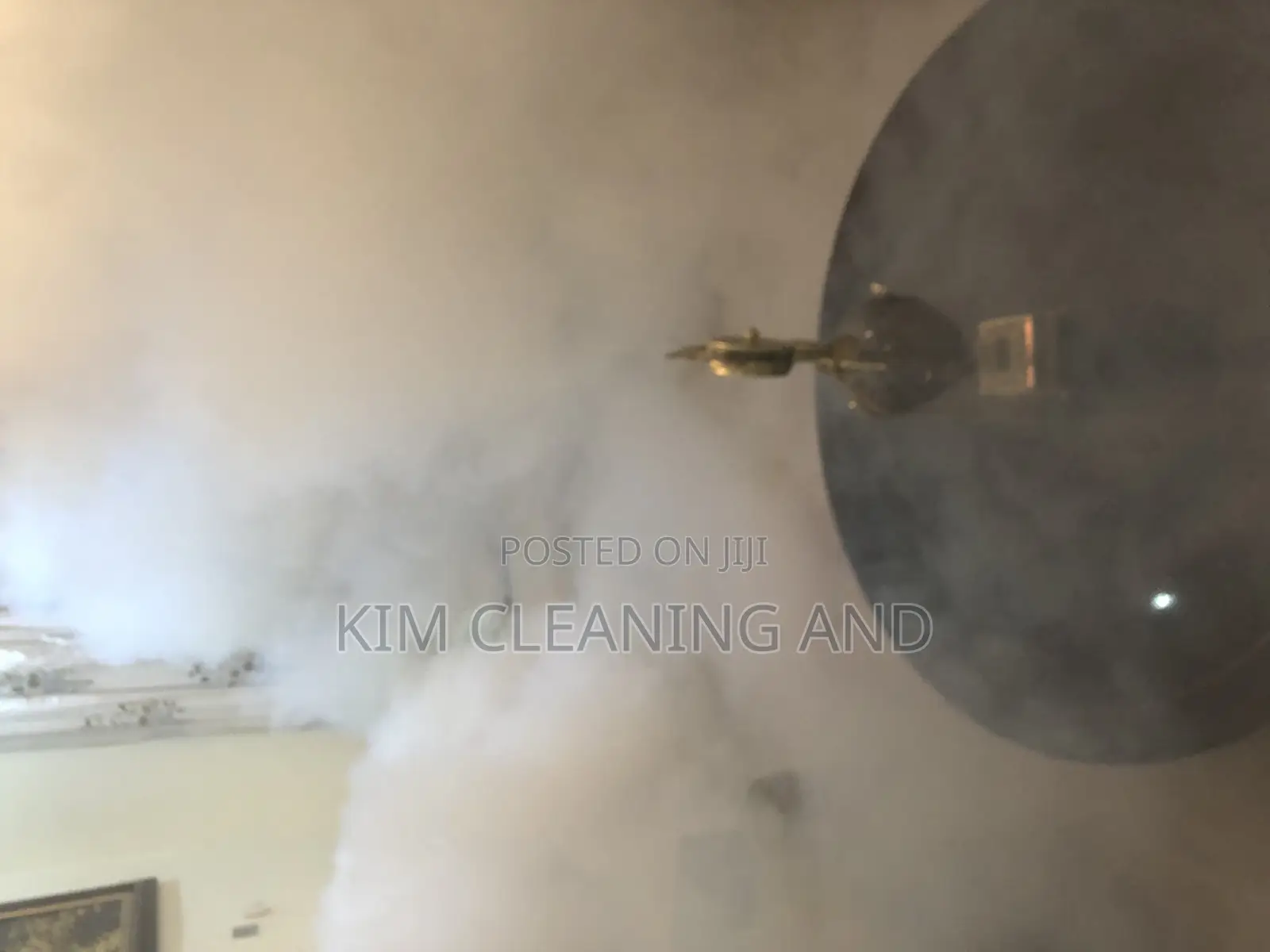 Pest/Insects Fumigation
