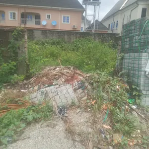 Sand Filed Half Plot 30 by 135 Land for Sale at Idowu Rufai Ago Palace