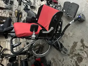 Executive Wheelchair for Children