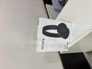 Sony Wh-Ch520