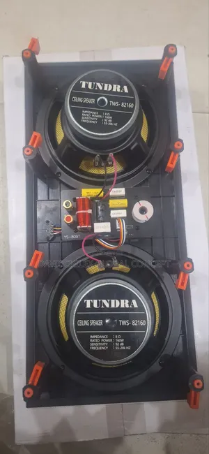 Tundra Double 8inches Ceiling Speaker