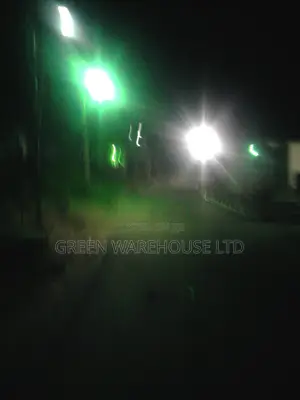 Illuminate Automatic Solar Street Light