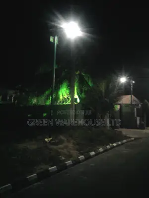 Illuminate Automatic Solar Street Light