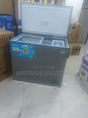 Nexus Nx‐265gi Inverter Freezer With Removable Basket