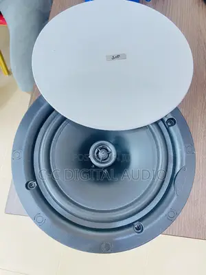 50watt Lax Ceiling Speaker