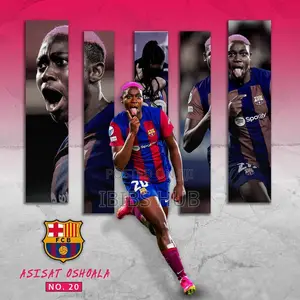 Professional Graphics Designer