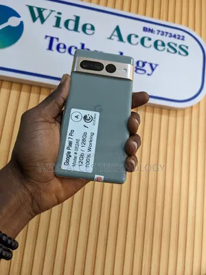 Google Pixel 7 Pro 128 GB Gray
