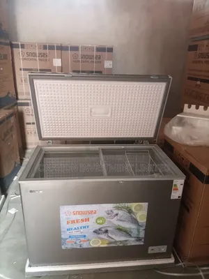 Snowsea Bd-450g 300l Chest Freezer – Large & Efficient Cooling