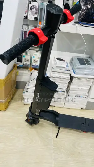 Green Lion Electric Scooter