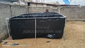 Almustapha Farm And Consultant