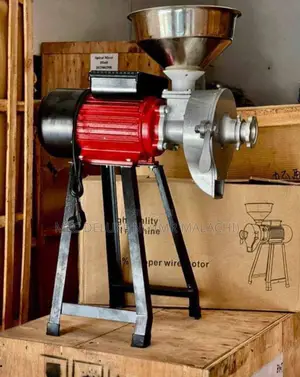 Proper Wet and Dry Industrial Grinding Machine (With 2 Teeth
