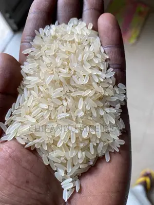 Very Polished Stone Free Nigerian Rice