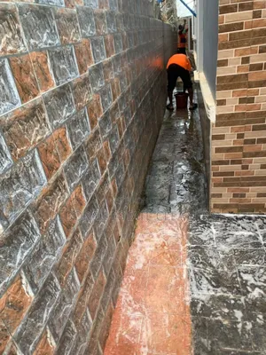 Pressure Washing Cleaning Service