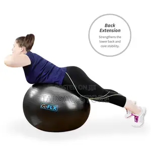 Goflx Exercise Ball