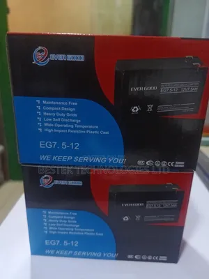 Ever Good 7.5*12 Ups Battery