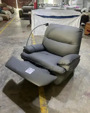 Relaxable Single Sofa With Spring Lifter
