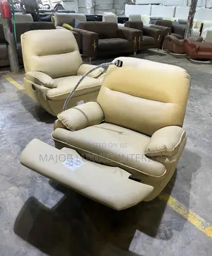 Relaxable Single Sofa With Spring Lifter