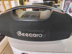 Beecaro Beebox 99 Outdoor Indoor Bluetooth Speaker