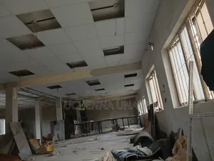 Uchenna Suspended Ceiling