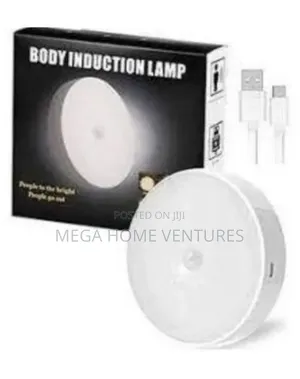 Intelligent Induction Lamp