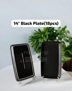 18pcs Dinner Plate