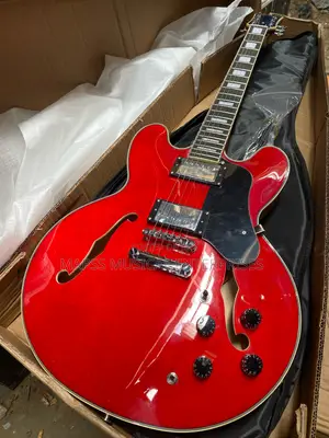 Fender Semi-Hollow Body Electric Guitar