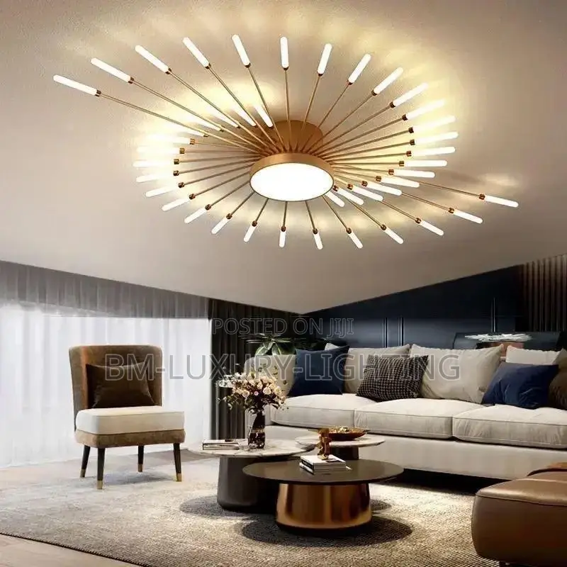 Modern Led Fireworks Ceiling Lamp