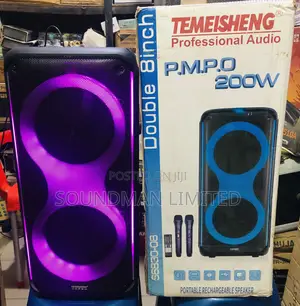 Temeisheng Portable Rechargeable Party High Bass Speaker With Two Mics