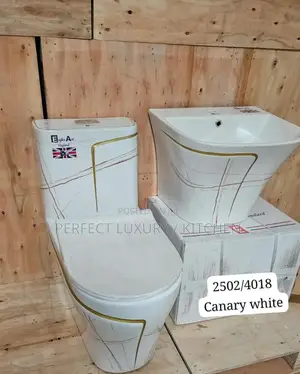 White Luxury Water Closet