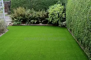 Synthetic Astroturf for Interior Decoration