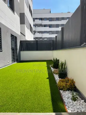Carpet Grass Best Turkish Quality