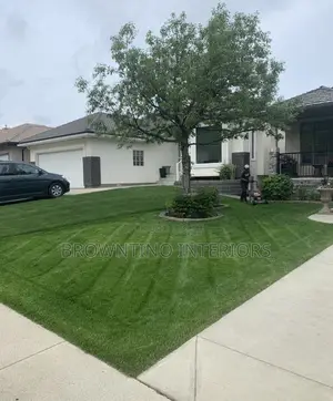 Turkish Synthetic Turf We Sell the Best Quality Stock