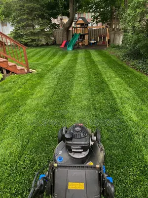 Artificial Synthetic Grass for Interior and Outdoor Deco