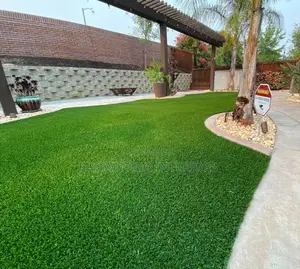 Carpet Astroturf Grass for Indoor and Outdoor Decoration