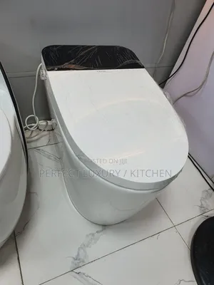 Automatic Sensor Toilet
