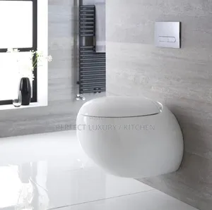 Egg Shape Executive Conceal Water Closets