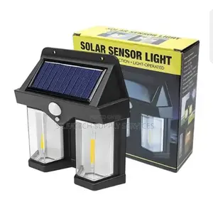 Solar Light