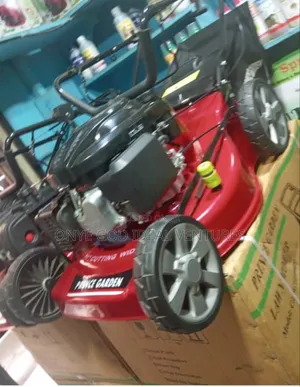 Lawn Mower Machine 4.5hp